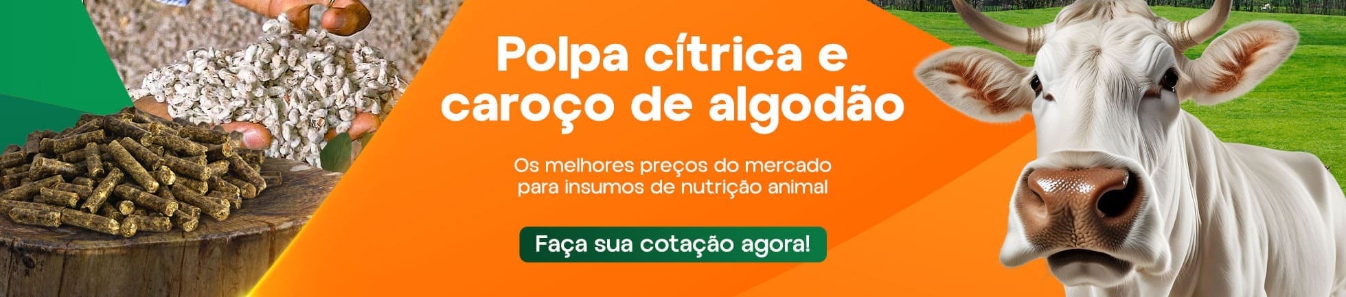 Polpa Cítrica e Caroço de Algodão!