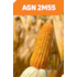 AGN 2M55