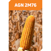 AGN 2M76