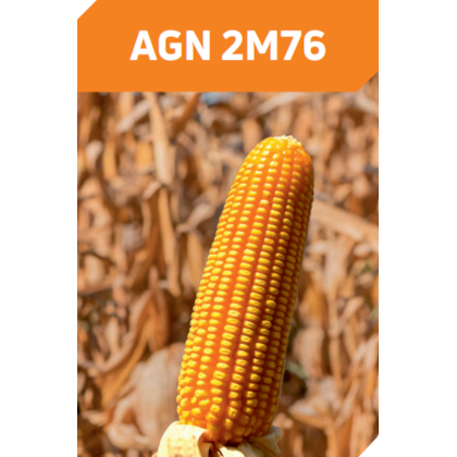 AGN 2M76