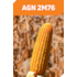 AGN 2M76