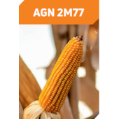 AGN 2M77