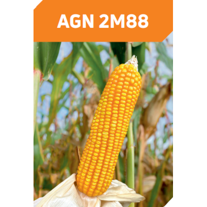 AGN 2M88