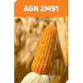 AGN 2M91