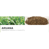 ARUANA - Megathyrsus maximus cv. Aruana IZ-5 ARUANA - Megathyrsus maximus cv. Aruana IZ-5