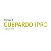 BMX Guepardo IPRO