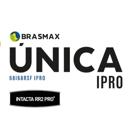 BMX Única IPRO