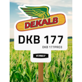 DKB 177