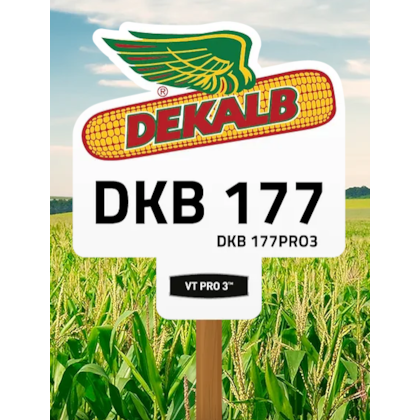 DKB 177