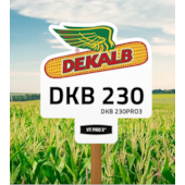 DKB 230