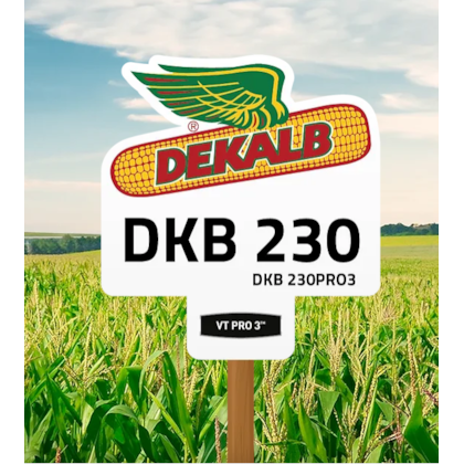 DKB 230