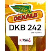 DKB 242