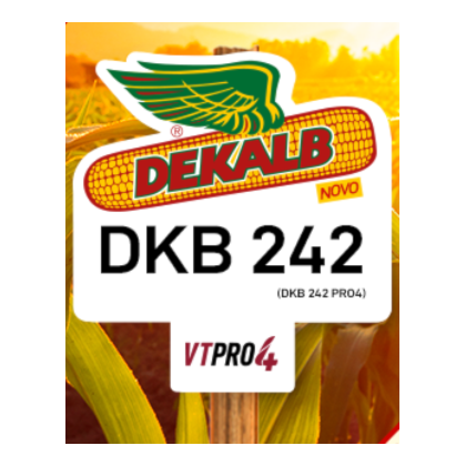 DKB 242