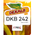 DKB 242