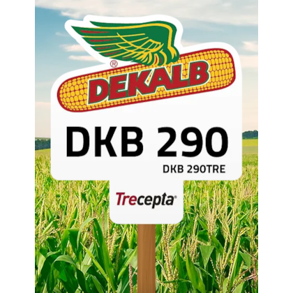 DKB 290