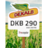 DKB 290