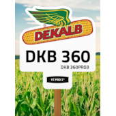 DKB 360