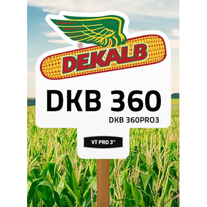 DKB 360