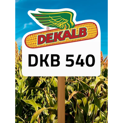 DKB 540