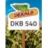 DKB 540