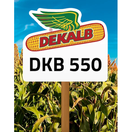 DKB 550