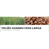 FEIJÃO GUANDU FAVA LARGA - Cajanus cajan Cv. Fava Larga