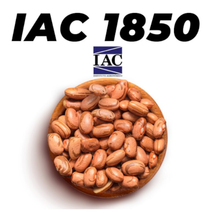 IAC 1850