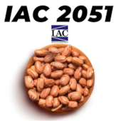 IAC 2051