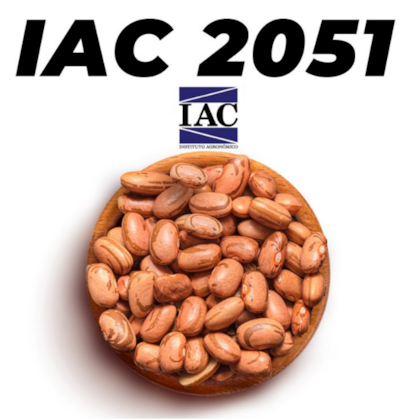 IAC 2051