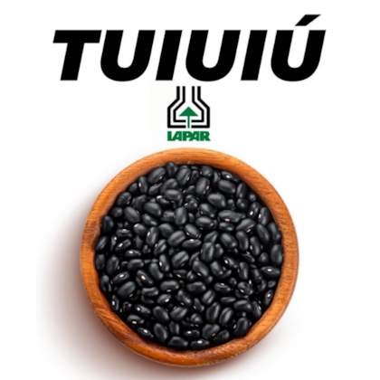 IPR CAMPOS TUIUIÚ