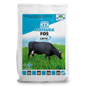 Matsuda Fós Leite