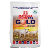 Matsuda Winter Fós Gold com Amireia