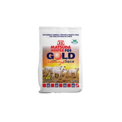 Matsuda Winter Fós Gold com Amireia