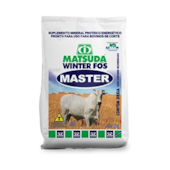 Matsuda Winter Fós Master