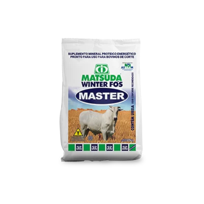 Matsuda Winter Fós Master