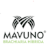 MAVUNO - Brachiaria Híbrida (Urochloa brizantha x Urochloa ruziziensis cv. Mixe Drwn 12)