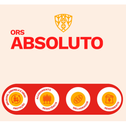 ORS ABSOLUTO