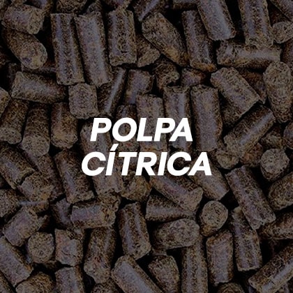 Polpa Cítrica