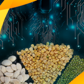 Sistema de Gestão Adm. e Finan. para Comercialização de Grãos Sistema de Gestão Adm. e Finan. para Comercialização de Grãos