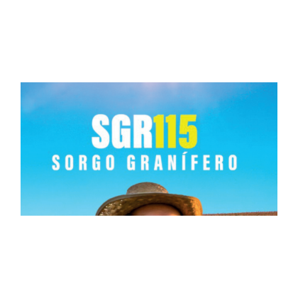 Sorgo Granífero – SGR115