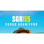 Sorgo Granífero – SGR115