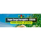 Super Sorgo Forrageiro – SSG150
